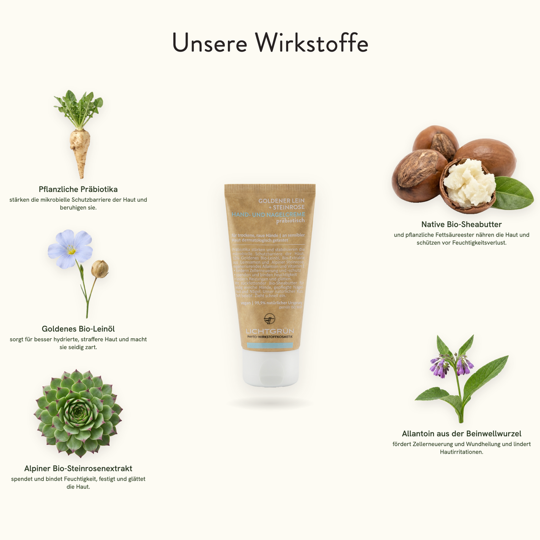 LICHTGRÜN Hand- und Nagelcreme Wirkstoffe