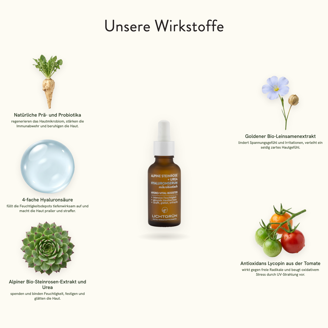 LICHTGRÜN Hyaluronserum Wirkstoffe
