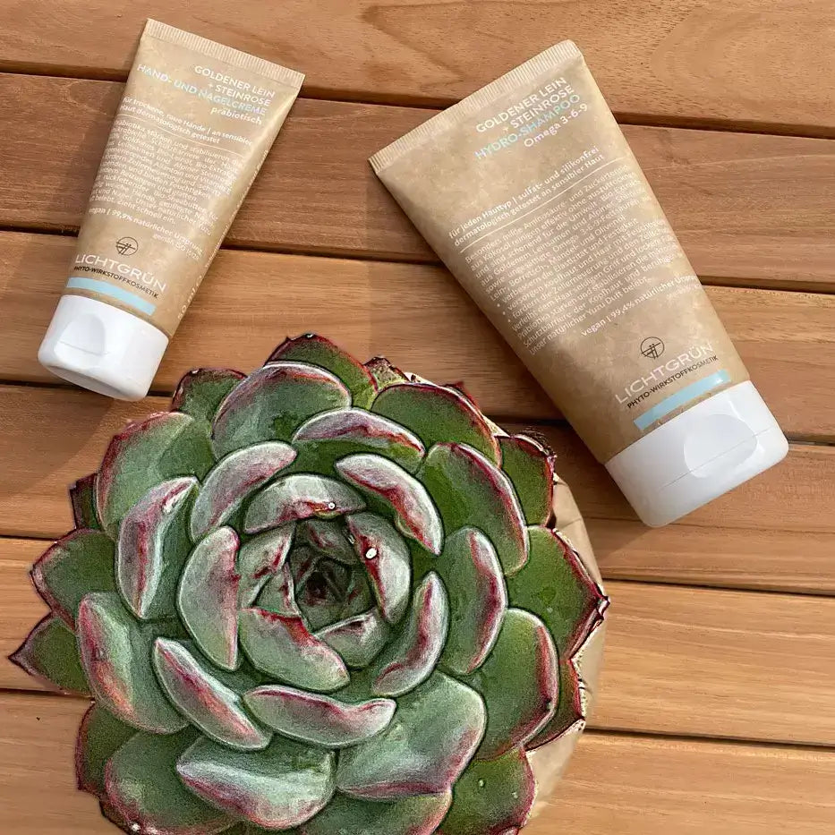 SET HYDRO BASICS BODY